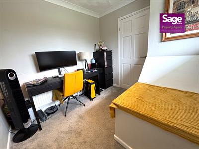 Picture 15